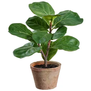 1' Fiddle Leaf Fig Silk Tree w/Clay Pot -Green (pack of 12)