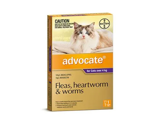 ADVOCATE CAT LARGE OVER 4KG 1PK