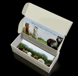 Box - The Sock Box
