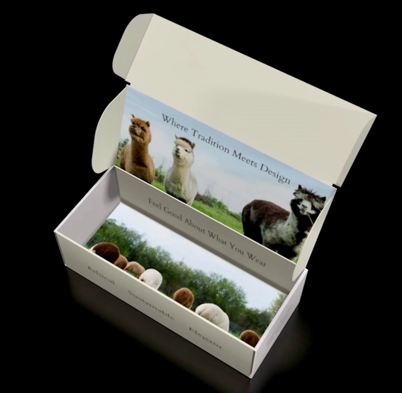 Box - The Sock Box