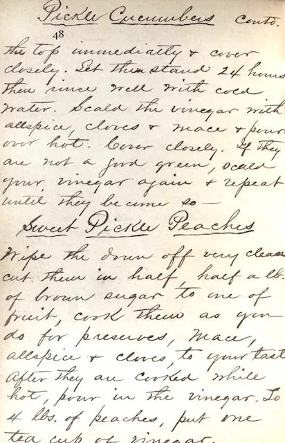 (Delaware) Mrs. J.A.  The Home Receipt Book, comprising a Choice Selection from the Experience of Many Years.