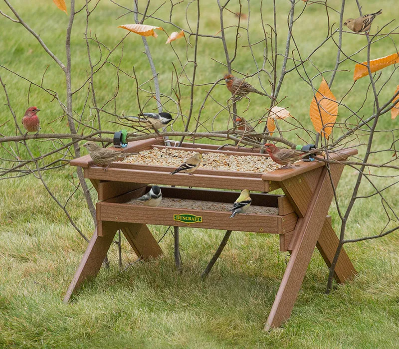 Duncraft Safe Haven Wonderland Feeder