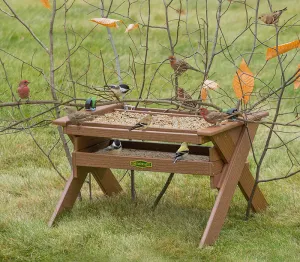 Duncraft Safe Haven Wonderland Feeder
