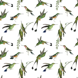 Hummingbird Gift Wrap