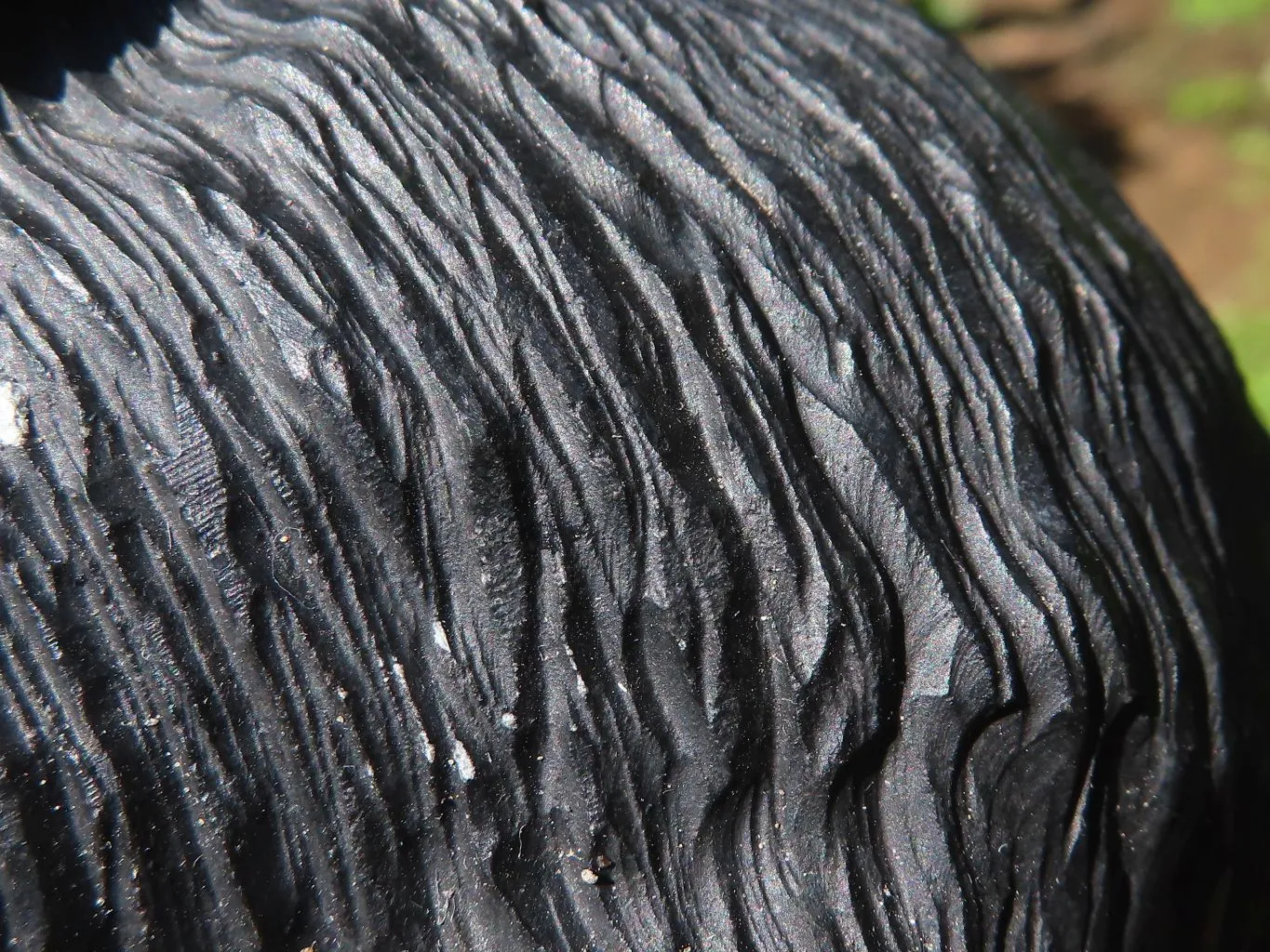 Polished Groovy Black Soapstone Baboon Carving  x 1 From Zimbabwe