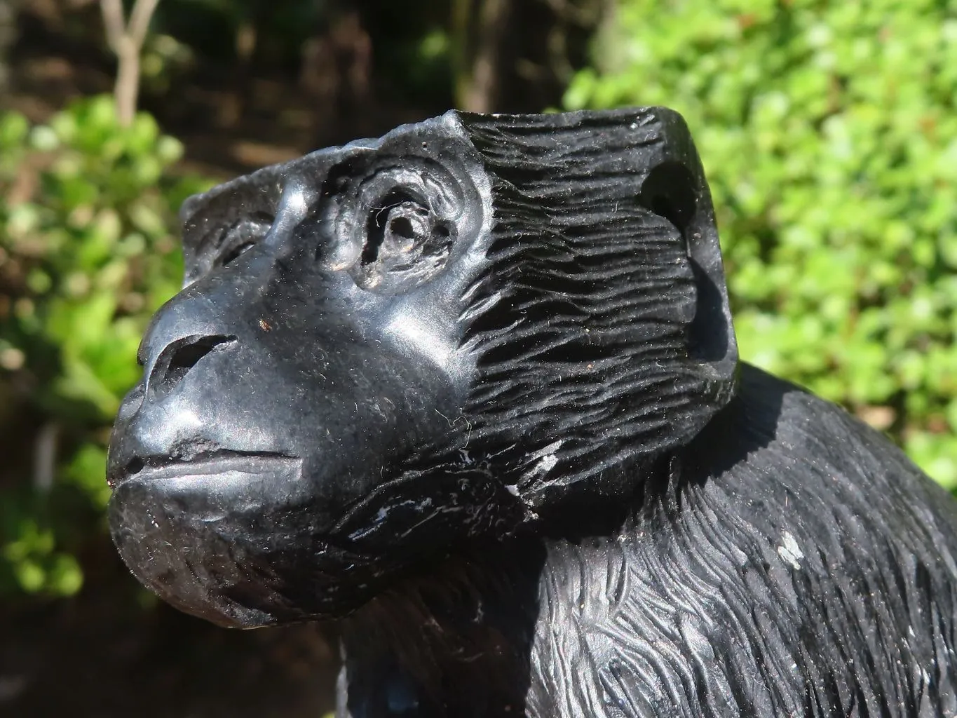 Polished Groovy Black Soapstone Baboon Carving  x 1 From Zimbabwe