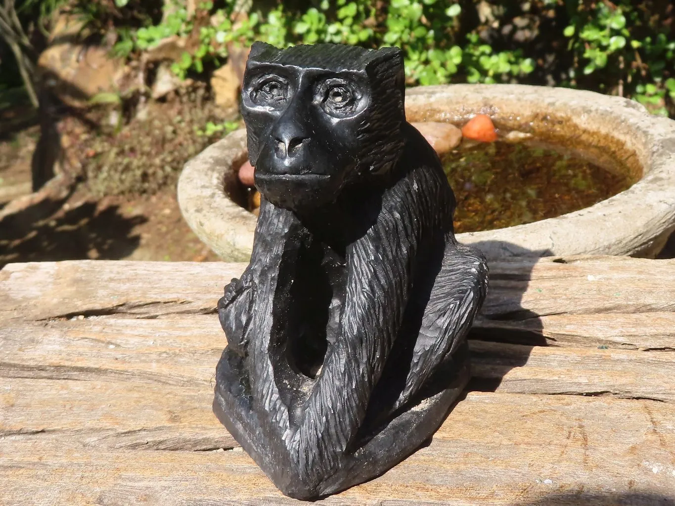 Polished Groovy Black Soapstone Baboon Carving  x 1 From Zimbabwe