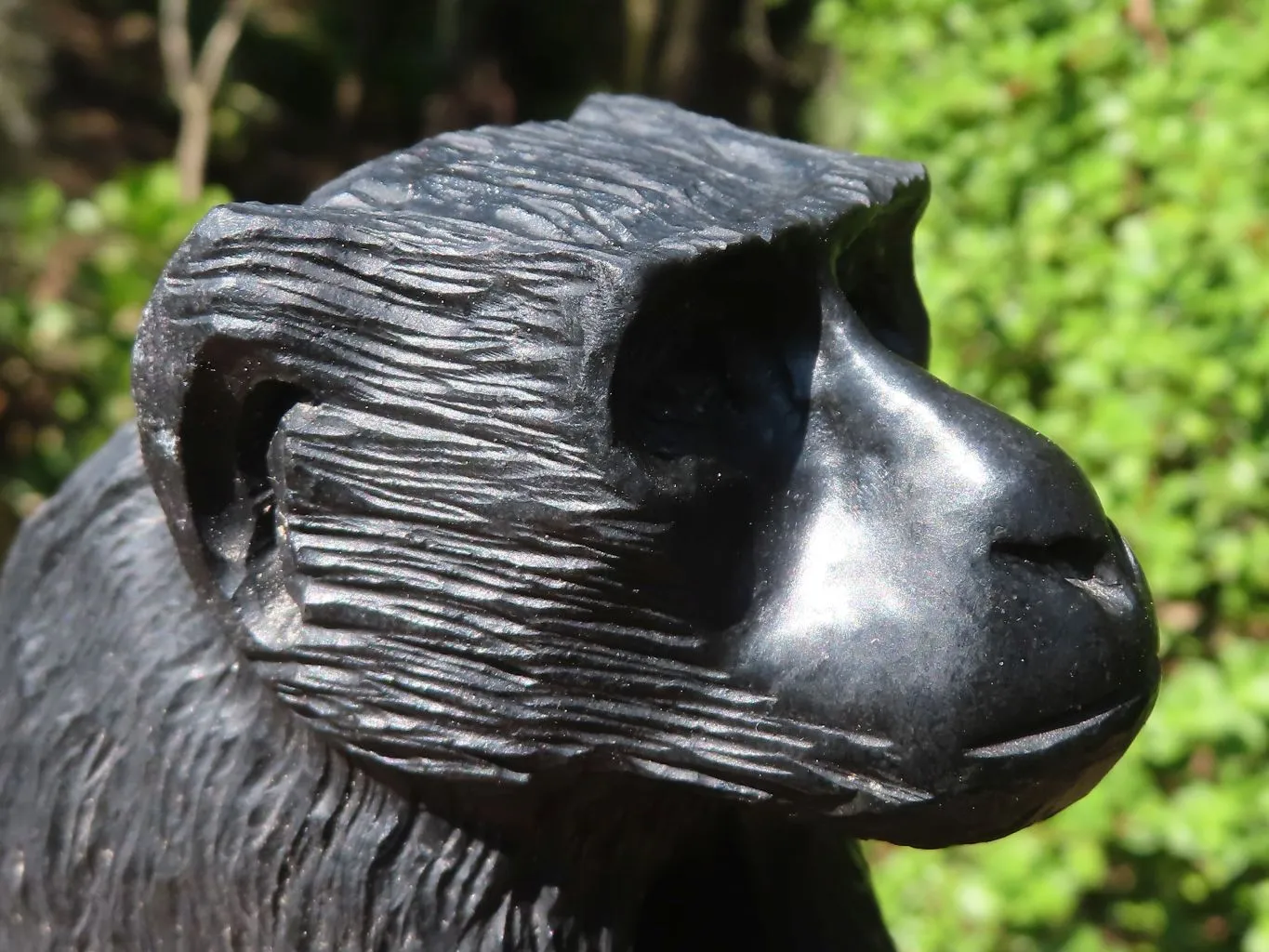 Polished Groovy Black Soapstone Baboon Carving  x 1 From Zimbabwe