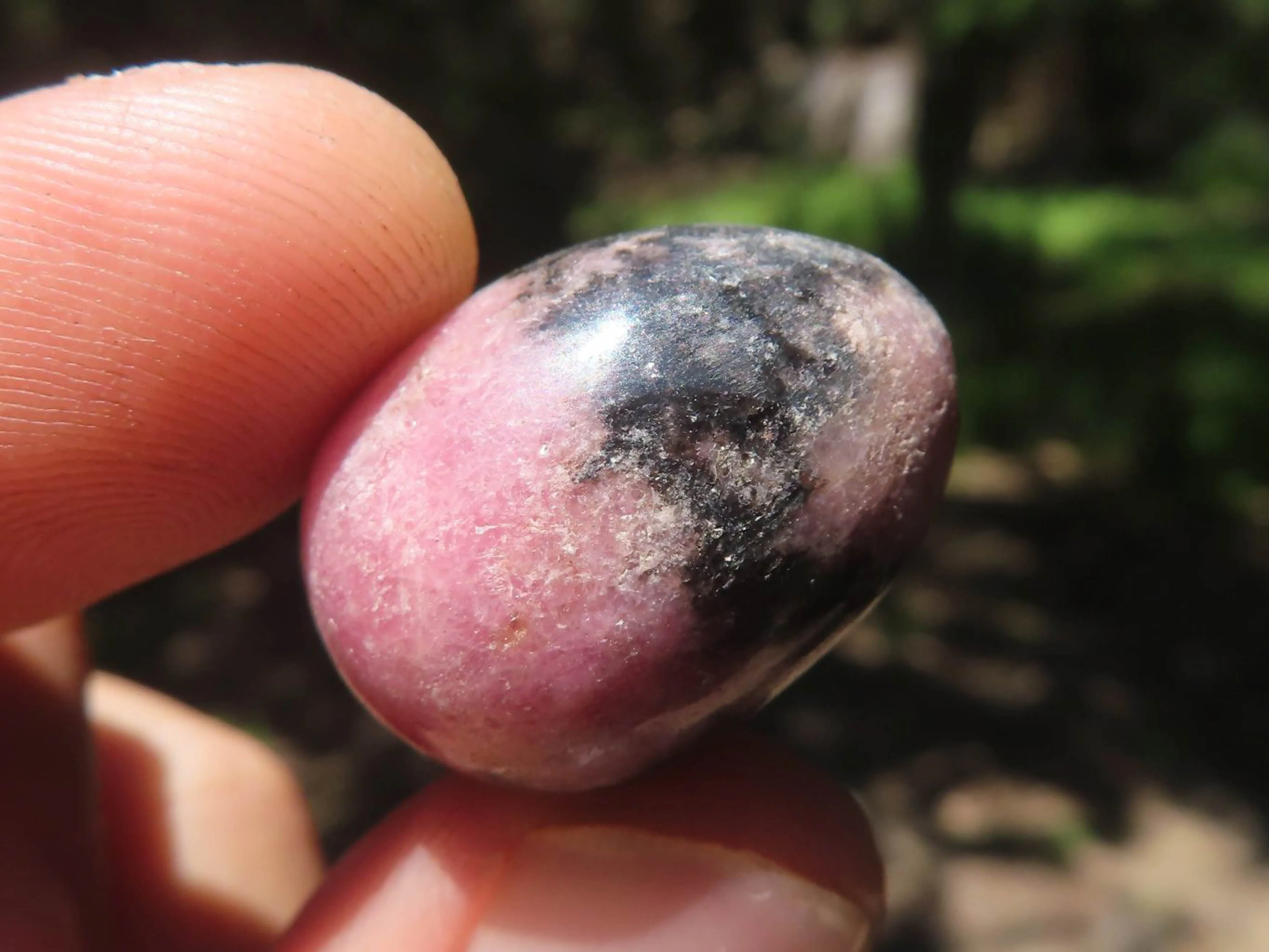 Polished Mini Rhodonite Eggs x 35 From Madagascar