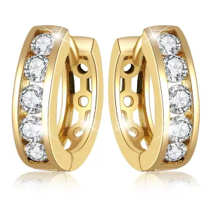 Precious Memory Earrings  | Clear