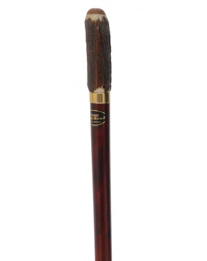 Rare Collector's Piece Listing: Comoys Real Horn knob cane w/ chestnut shaft