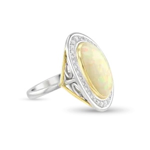 Spring Ring
